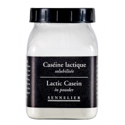 Caseine Lactique Pot 100g -...