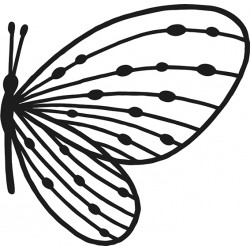 Dies Profil Papillon