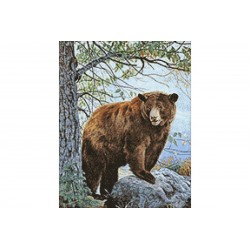 Diamond Painting Brown bear