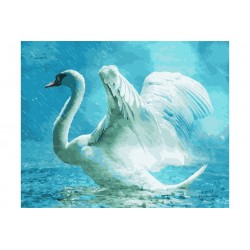 Peinture numéros White swan
